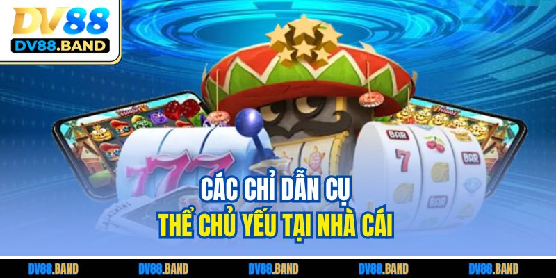 Các chỉ dẫn cụ thể chủ yếu tại nhà cái