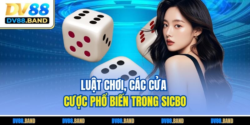 Sicbo - Mẹo Tăng Tỷ Lệ Thắng Cược Cao Dành Cho Tân Thủ 3 Luật chơi, các cửa cược phổ biến trong Sicbo