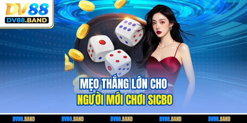 Sicbo - Mẹo Tăng Tỷ Lệ Thắng Cược Cao Dành Cho Tân Thủ 4 Mẹo thắng lớn cho người mới chơi Sicbo