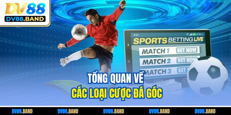 Kèo Phạt Góc Là Gì? Hướng Dẫn Cách Chơi Chuẩn Tại DV88 2 Tổng quan về các loại cược đá góc